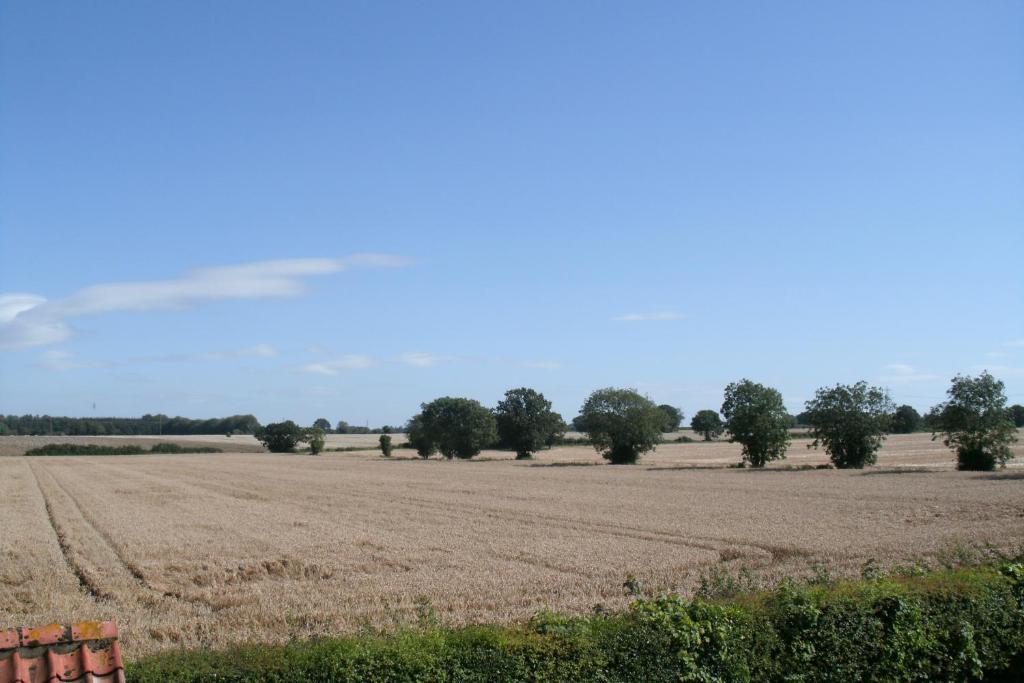 Yaxham Mill Bed and Breakfast Dereham Εξωτερικό φωτογραφία